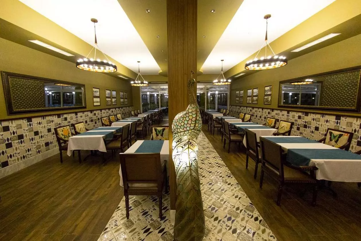 PALMWING_SHABAVIZ (30).jpg